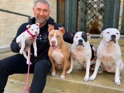 In honor of #GivingTuesday, Dave Bautista, actor, animal advocate, and dog dad, is collaborating with the ASPCA to raise awareness and encourage support for vulnerable animals throughout the holiday season. 

Dave is the proud dad of four adopted pit bulls—Ollie, Maggie, Penny and Talulah—and is a consistent champion for the breed, adopting his first two dogs five years ago.
