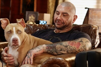 In honor of #GivingTuesday, Dave Bautista, actor, animal advocate, and dog dad, is collaborating with the ASPCA to raise awareness and encourage support for vulnerable animals throughout the holiday season. 

Dave is the proud dad of four adopted pit bulls—Ollie, Maggie, Penny, and Talulah—and is a consistent champion for the breed, adopting his first two dogs five years ago.