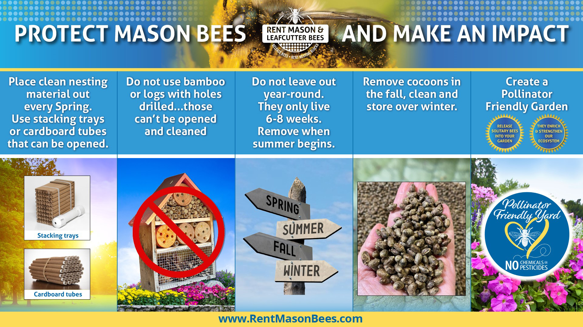 Protect Mason Bees and Make an Impact