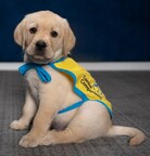 The PenFed Foundation partners with Canine Companions to help more veterans get life-changing service dogs