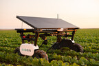 Aigen’s M Series A Unleashes True-Solar Agriculture Robots