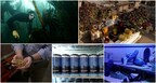 CNN’s Going Green explores the innovations protecting and purifying water
