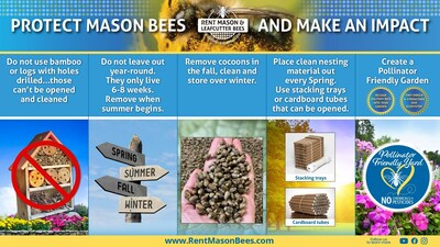 Neglected Bee Hotels Pose a Threat to Mason Bee Populations: A Fall Cleaning Initiative