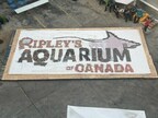 Ripley’s Aquarium of Canada donates 9,000 cans of food to Daily Bread Food bank