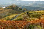 TOP TALES: CHINESE WINE PROFESSIONALS JOINING GRANDI LANGHE 2024