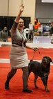 ROTTWEILER “GRANGER” WINS AKC ROYAL CANIN NATIONAL ALL-BREED PUPPY AND JUNIOR STAKES