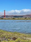 San Francisco City Guides Launches New, Free Climate Change Tour at San Francisco’s Crissy Field