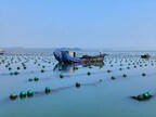 Xinhua Silk Road: Rongcheng, E. China’s Shandong Province pursues green marine development