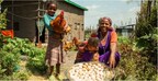 Hatch Africa Raises .5m from AgDevCo and IDH Farmfit Fund to Expand High-growth Poultry Business in Sub-Saharan Africa