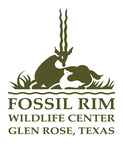 Fossil Rim Wildlife Center Welcomes Baby Southern White Rhino