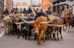 Steers Parade Through Downtown Denver to Kick Off Mile High City’s Oldest Western Tradition