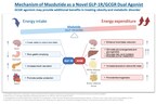 Innovent Dosed First Participant in Phase 3 Clinical Study (GLORY-2) of Mazdutide (IBI362) Higher Dose 9 mg in Chinese Adults with Obesity