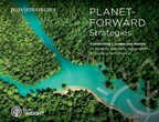 Pure Strategies Releases New Report: Planet-Forward Strategies: Connecting Climate and Nature to Advance Corporate Sustainability Action and Performance