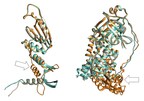Basecamp Research Launches BaseFold: A Breakthrough in 3D Protein Structure Prediction of Large, Complex Protein Structures