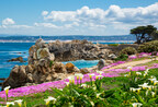 Springtime is the Best Time to Visit Monterey
