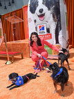HILL’S PET NUTRITION PARTNERS WITH ACTRESS AND SENIOR DOG OWNER CECILY STRONG ON NEW CAMPAIGN TO HELP SENIOR PETS AGE BOLDLY