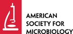 Berberine Could Treat Eczema-Exacerbated Staphylococcus aureus Infections