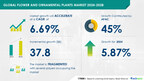 Flower and Ornamental Plants Market size is set to grow by USD 37.8 billion from 2024-2028, Use of flowers and plants for decorative and aesthetic purposes to boost the market growth, Technavio