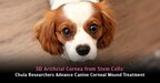 3D Artificial Cornea from Stem Cells: Chula Researchers Advance Canine Corneal Wound Treatment