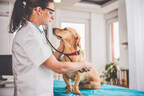 Embrace Pet Insurance and AVMF Announce New Scholarship Program for Future Shelter Veterinarians