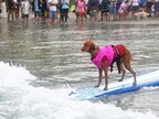 SUR-FURS PREPPED TO FETCH TOP HONORS AT HELEN WOODWARD ANIMAL CENTER’S 19TH ANNUAL SURF DOG SURF-A-THON