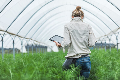 Farmer controlling vegetables in greenhouse.